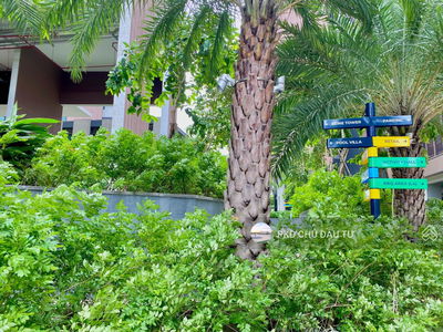 The River Thủ Thiêm, Vietnam The River Thủ Thiêm, Vietnam