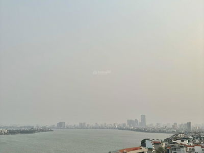 D’. El Dorado, Vietnam  D’. El Dorado, Vietnam