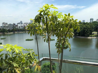 Жилье в Hanoi, Vietnam  Жилье в Hanoi, Vietnam
