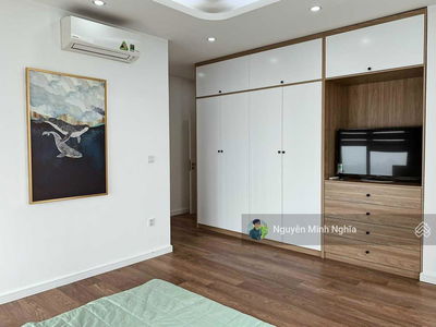 The Golden Armor, Vietnam The Golden Armor, Vietnam