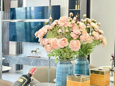 C-SkyView, Vietnam C-SkyView, Vietnam