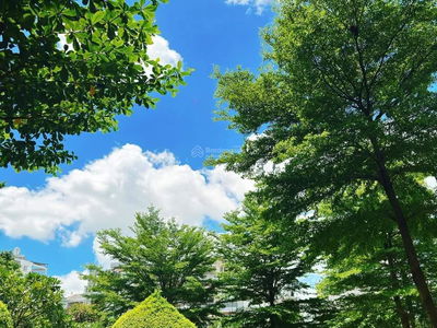 Dream Home, Vietnam Dream Home, Vietnam