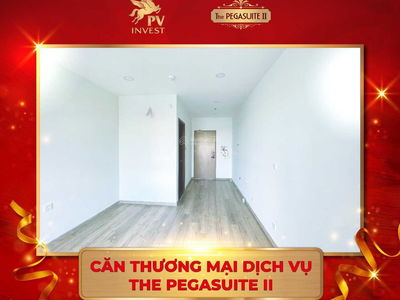 The Pegasuite 2, Vietnam The Pegasuite 2, Vietnam