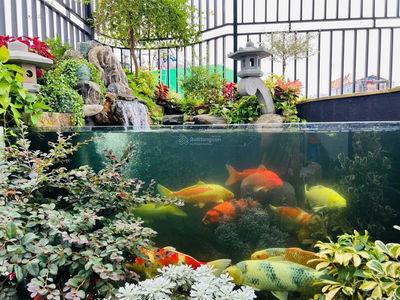 Logement dans Ha GJong, Vietnam Logement dans Ha GJong, Vietnam