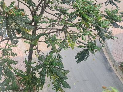 Logement dans Hanoi, Vietnam Logement dans Hanoi, Vietnam