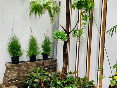 Gehäuse In Ho Chi Minh City, Vietnam Gehäuse In Ho Chi Minh City, Vietnam