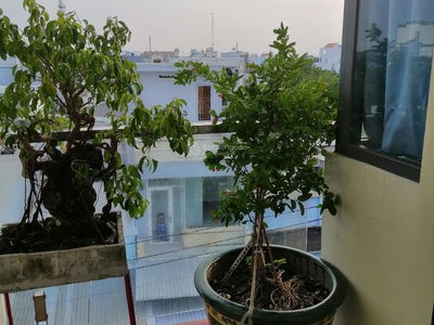 Logement dans Nha Be, Vietnam Logement dans Nha Be, Vietnam