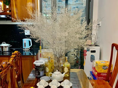 Khu đô thị Lê Hồng Phong II, Vietnam Khu đô thị Lê Hồng Phong II, Vietnam