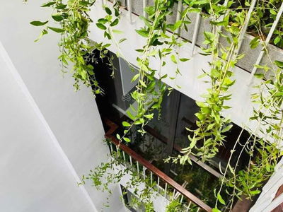 Alojamiento en Ha GJong, Vietnam Alojamiento en Ha GJong, Vietnam