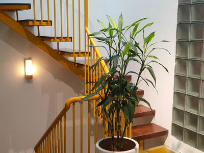 Alojamiento en Hanoi, Vietnam Alojamiento en Hanoi, Vietnam