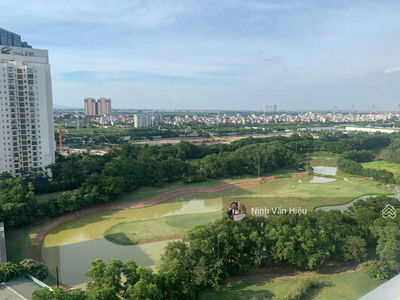 The Link, Vietnam The Link, Vietnam