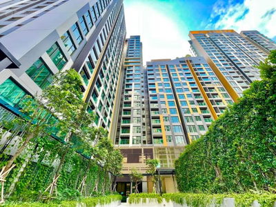 Of The Sun, Vietnam Of The Sun, Vietnam